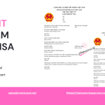 Urgent & Emergency Vietnam Visa Services