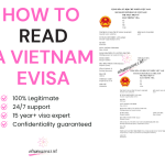 How to read a Vietnam eVisa: A complete guide