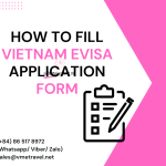 How to fill Vietnam eVisa Application Form: A complete guide