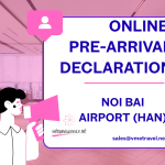 Pre-arrival declaration at Noi Bai Airport (HAN)